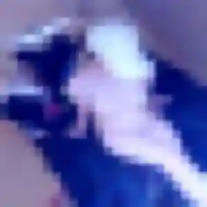 Catherine, 23 ans, en ligne à Aussillon pour un rencontre sexy