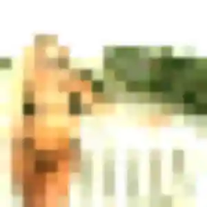 Profil de Alienor à Aytré (39 ans) - rencontre sexy gratuit