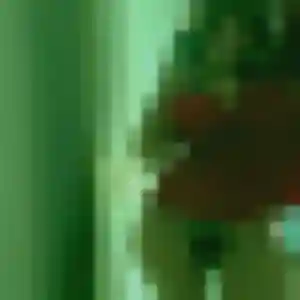 Photo de Laure à Bailly-Romainvilliers (33 ans) - rencontre sexy anonyme