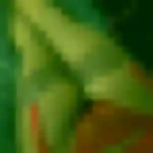 Eleonore de Ballancourt-sur-Essonne, 32 ans - rencontre sexy discret