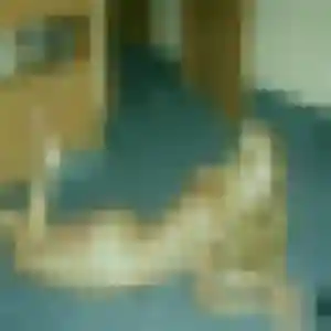 Brigitte, 39 ans, connectée à Bourgoin-Jallieu pour un rencontre sexy