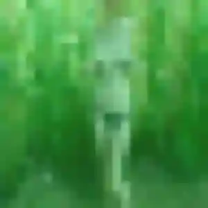 Photo de Zelda à Bricquebec-en-Cotentin (34 ans) - rencontre sexy discret