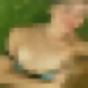 Photo exclusive de Svetlana, 40 ans à Cahors - rencontre sans lendemain