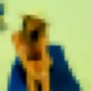 Photo de Aurore à Calais (39 ans) - rencontre sexy anonyme