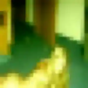 Inaya, 30 ans, en ligne à Castelnau-le-Lez pour un rencontre sexy