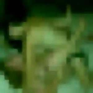 Lisette, 21 ans, dispo pour rencontre sexy à Chartres-de-Bretagne