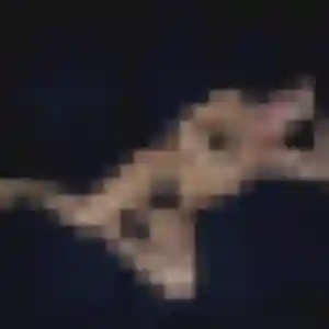 Maud, 41 ans, dispo pour rencontre sexy à Châteauneuf-les-Martigues