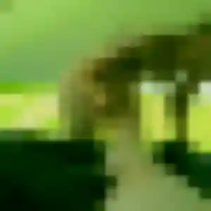 Candice (26 ans) à Chenôve cherche un rencontre sexy maintenant