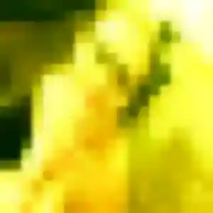 Tatiana, femme de 29 ans veut rencontre sexy à Colmar