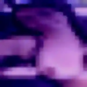 Dana, 39 ans, en ligne à Coulaines pour une rencontre coquine
