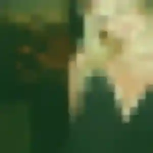 Sexy Jocelyne, 20 ans à Decize - la contacter
