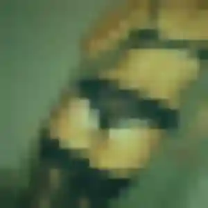 Julie, 22 ans, dispo pour rencontre sexy à Dives-sur-Mer