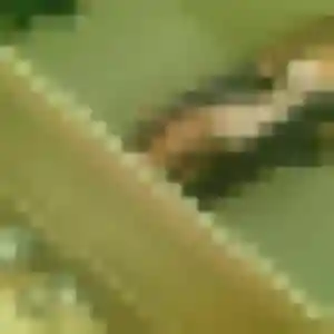 Magalie, 22 ans, connectée à Épinal pour une rencontre coquine