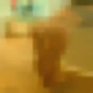 Photo de Blandine à Gentilly (36 ans) - rencontre sexy anonyme