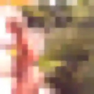 Romane, 19 ans, connectée à Gien pour un rencontre sexy