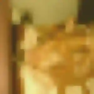 Wahiba, 41 ans, en ligne à Gigean pour un rencontre sexy
