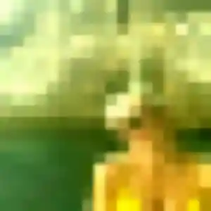 Charmante Priscilla, 43 ans à Gisors - voir sa photo