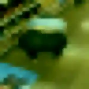 Candice (42 ans) à Gonesse cherche une rencontre maintenant