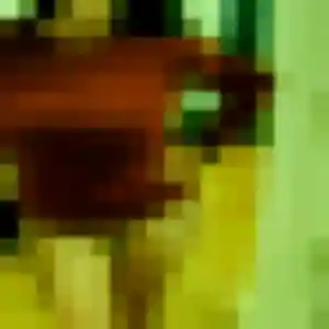 Yannick, 45 ans, disponible à Gourbeyre pour une rencontre coquine