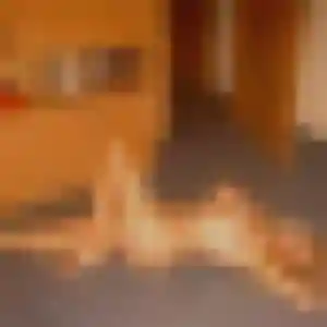 Gladys, 28 ans, en ligne à Grand-Charmont pour une rencontre coquine