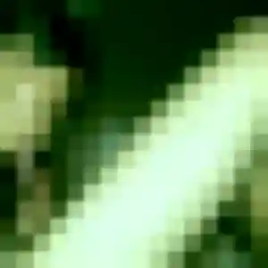 Salima, 41 ans, en ligne à Hem pour une rencontre coquine