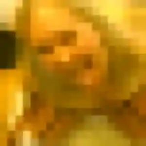 Photo perso de Zara, 35 ans à La Gorgue - rencontre coquine
