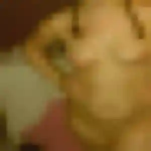 Charmante Solene, 41 ans à La Possession - découvrir son profil