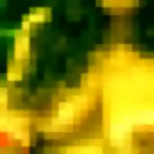 Phoebe, 43 ans, cherche un rencontre sexy à La Roquette-sur-Siagne