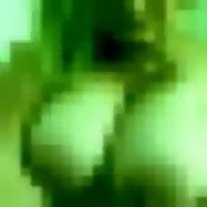Benedicte, fille de 31 ans cherche rencontre sexy à Lacanau
