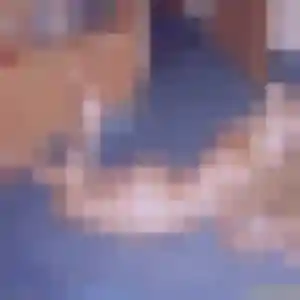 Deborah, 30 ans, veut un rencontre sexy à Le Plessis-Trévise