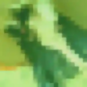 Ursule, femme de 30 ans veut rencontre sexy à Le Pontet