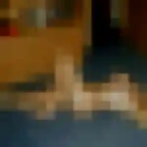 Sexy Vinciane, 32 ans à Le Puy-Sainte-Réparade - voir sa photo
