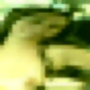 Belle Valentina, 33 ans à Le Raincy - la contacter