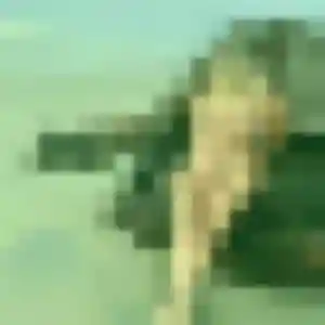 Zephyrine (40 ans) à Le Teil cherche une rencontre rapidement