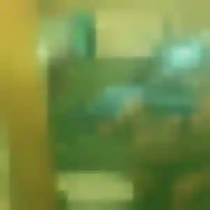 Découvre Salima, 35 ans à Les Abrets en Dauphiné en t'inscrivant