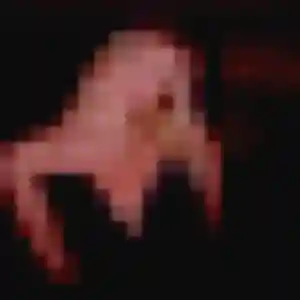 Sexy Germaine, 44 ans à Les Trois-Bassins - voir sa photo
