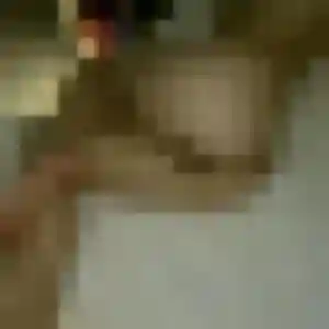 Svetlana, 28 ans, connectée à Libercourt pour un rencontre sexy