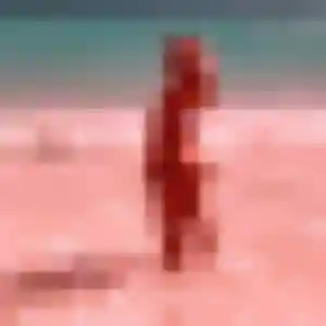 Photo perso de Lamia, 22 ans à Liévin - rencontre coquine
