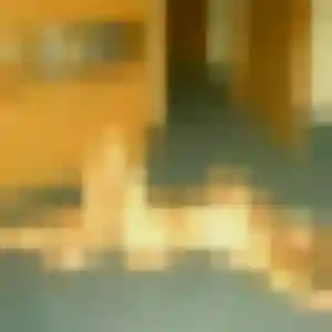 Sexy Graziella, 38 ans à Lodève - voir sa photo