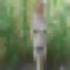 Elvire, 44 ans, en ligne à Longpont-sur-Orge pour un rencontre sexy