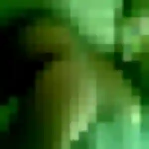 Alix, 44 ans, cherche un rencontre sexy à Mazamet