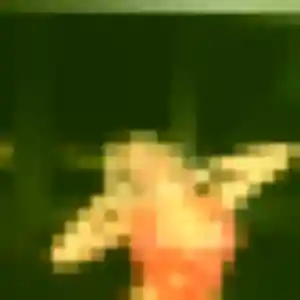 Photo privée de Viviane, 37 ans à Meaux - rencontre coquine