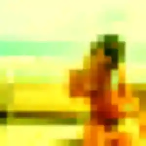 Candice, femme de 26 ans veut rencontre sexy à Merville