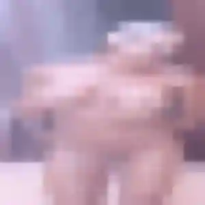 Découvre Anne-Charlotte, 33 ans à Muzillac en privé