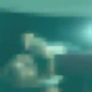 Photo privée de Clemence, 34 ans à Notre-Dame-de-Bondeville - rencontre coquine