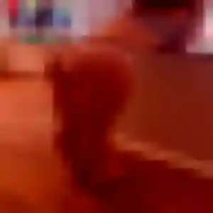 Idalina de Orange, 29 ans - rencontre sexy sans prise de tête