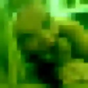 Jolie Rebecca, 30 ans à Orgeval - la contacter