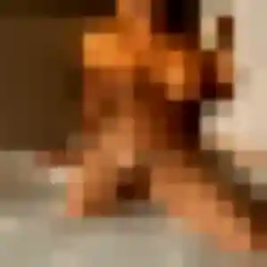 Photo exclusive de Ariane, 20 ans à Panazol - rencontre sans lendemain