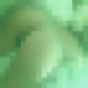 Candice, 21 ans, cherche un rencontre sexy à Persan