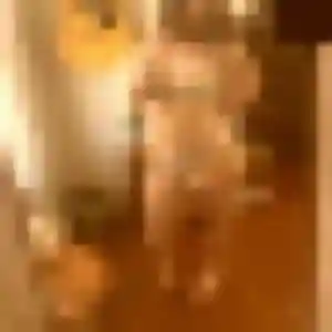 Phoebe de Pierrefeu-du-Var, 22 ans - rencontre sexy sans prise de tête